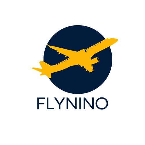 Flynino